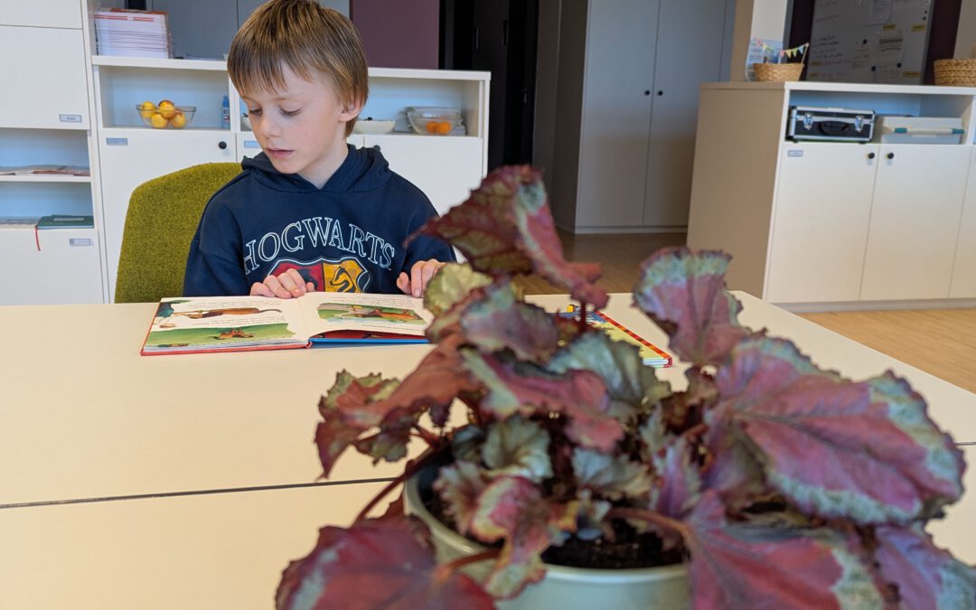 Vorlesewettbewerb 2025 in Alfter