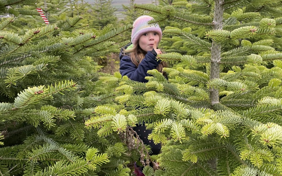 Ein winterliches Abenteuer der Löwenklasse – Unsere neuen Weihnachtsbäume sind da!
