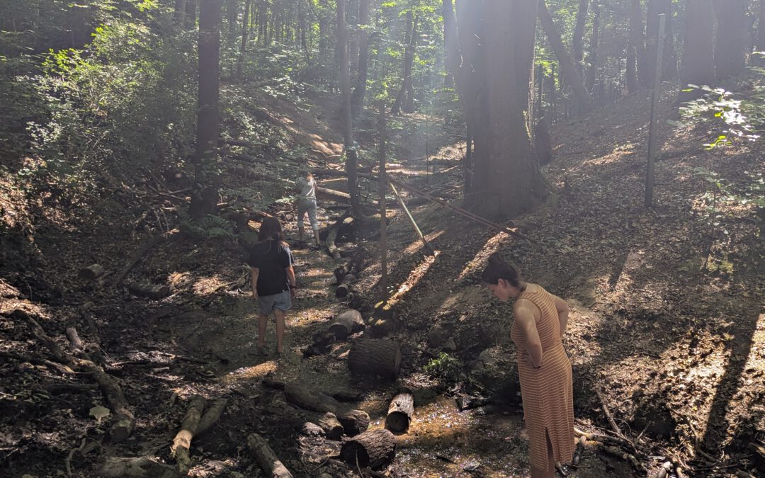 Statt „Hitzefrei“ gehen wir uns im Wald abkühlen
